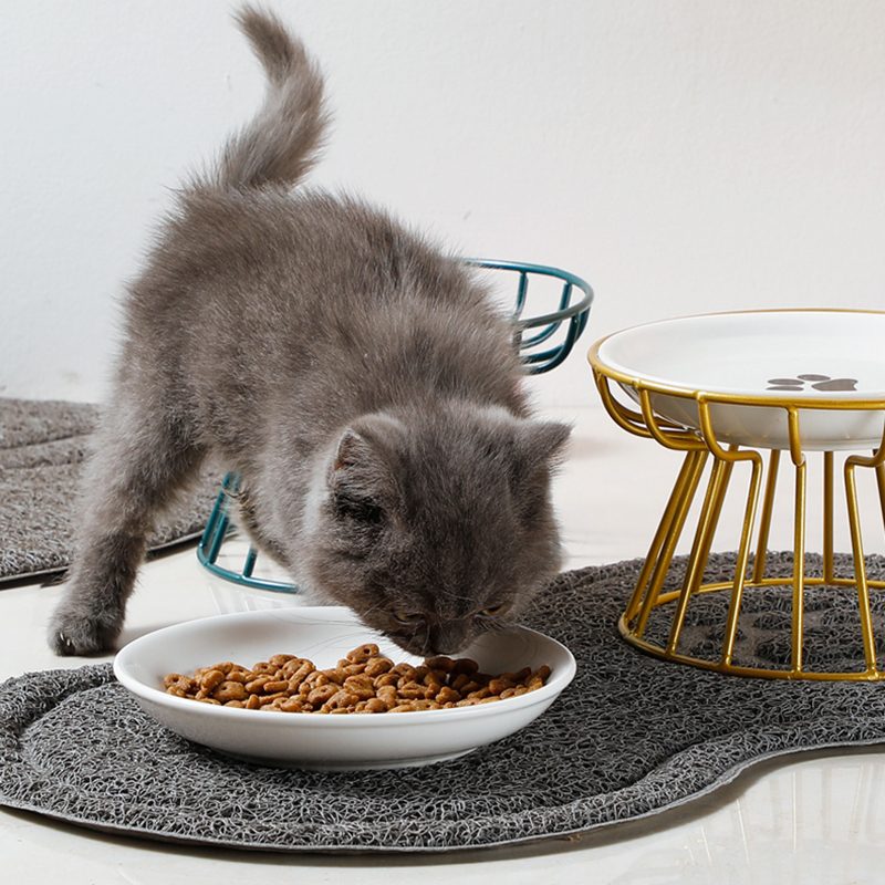 Food Snacks Easy - 2024 New Pet Ceramic Bowl Iron