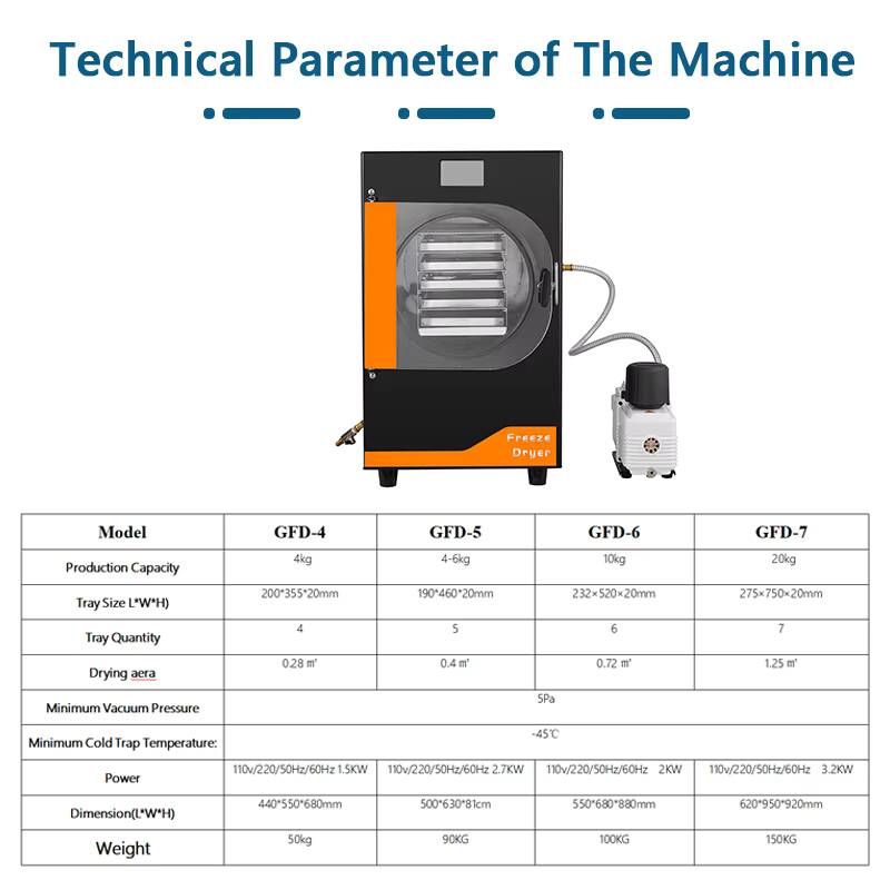 20Kg Automatic Gear Freeze Mac - Food And Snacks 评论和价格
